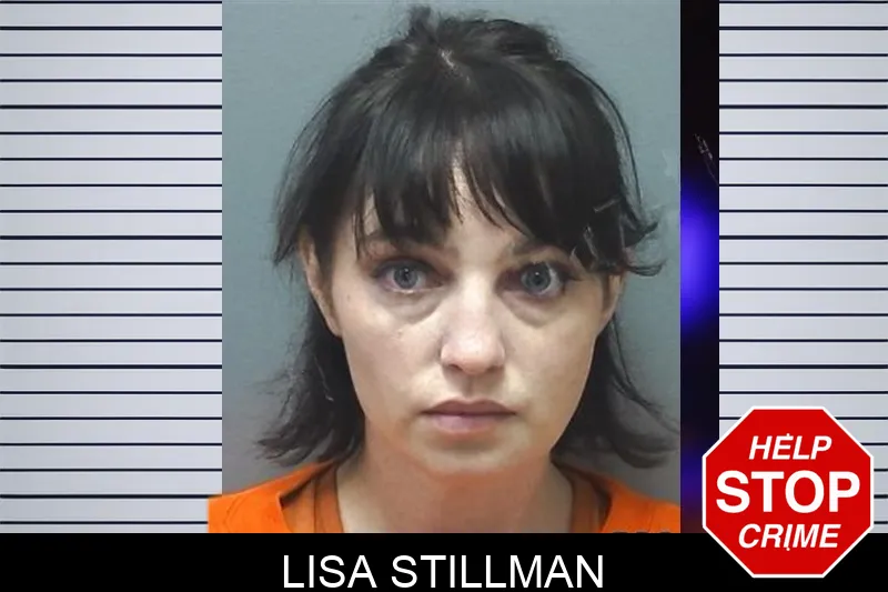 Lisa Stillman mugshot – Cherokee County , Georgia Lisa Stillman mugshot