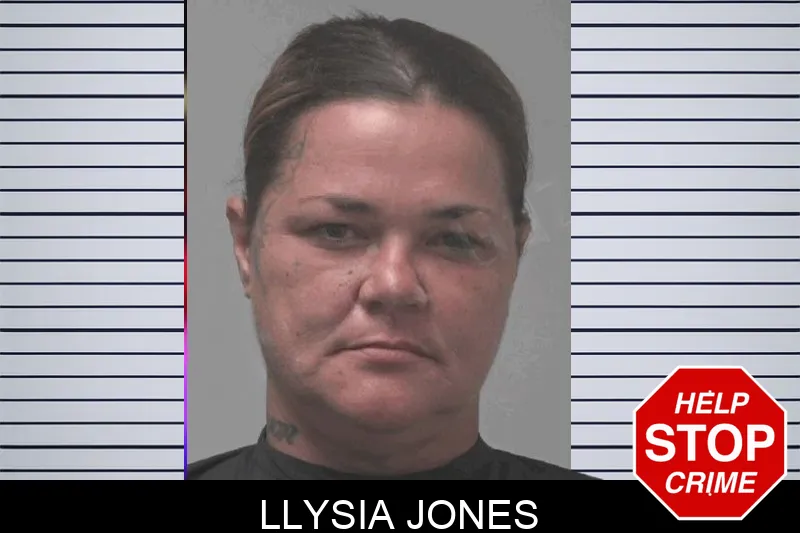 Llysia Jones Mugshots