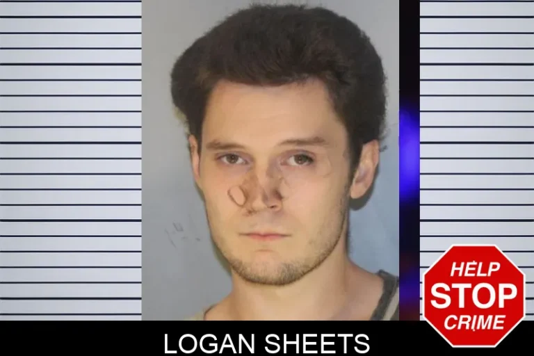 Logan Sheets mugshot – Hall County , Georgia Logan Sheets