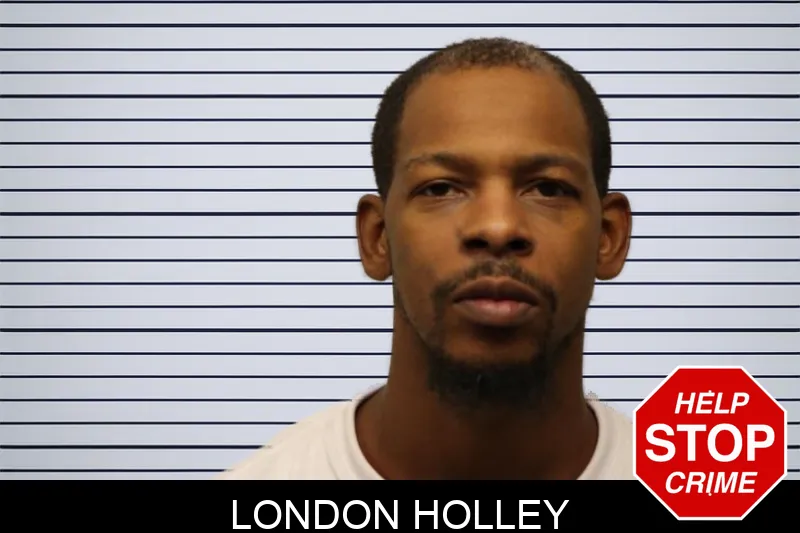 London Holley Mugshots