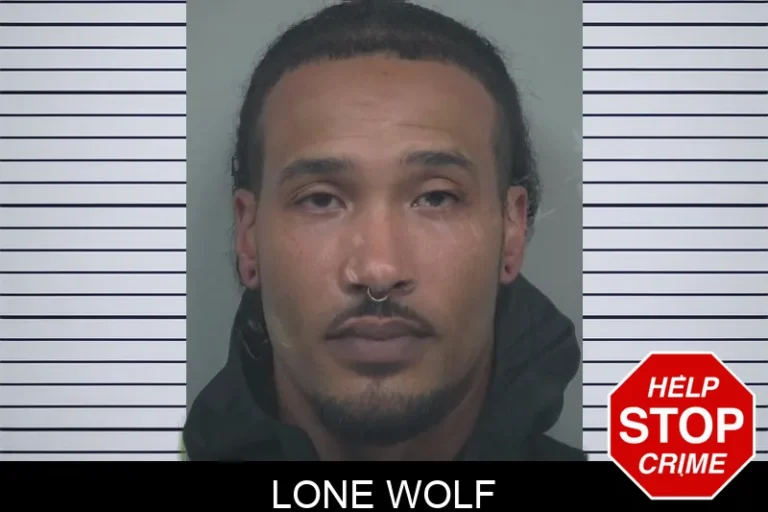 Lone Wolf