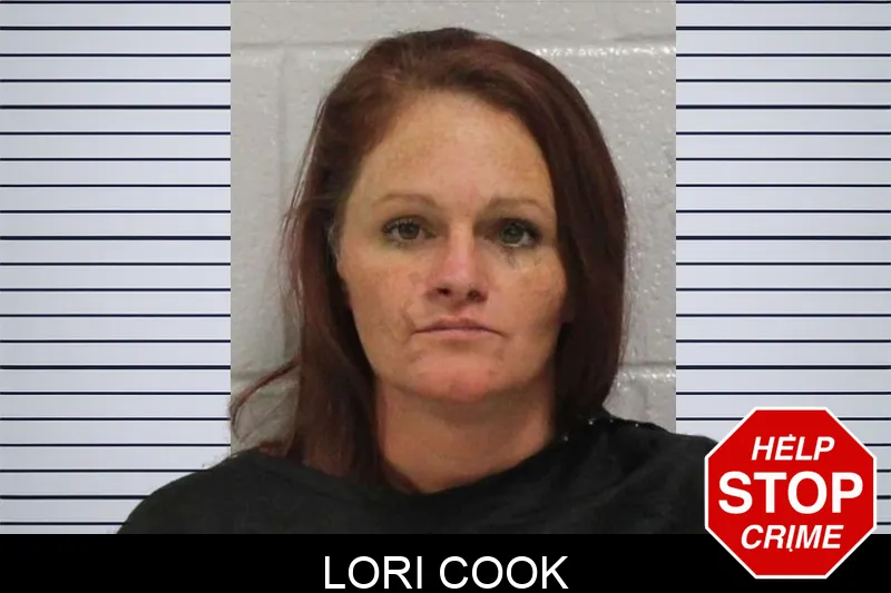 Lori Cook mugshot – Carroll County , Georgia Lori Cook mugshot