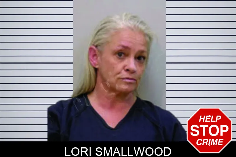 Lori Smallwood Mugshots