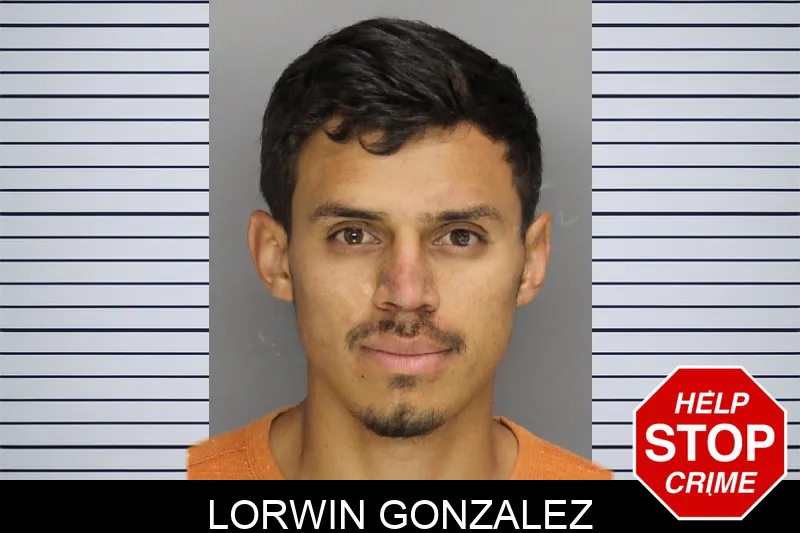 Lorwin Gonzalez mugshot