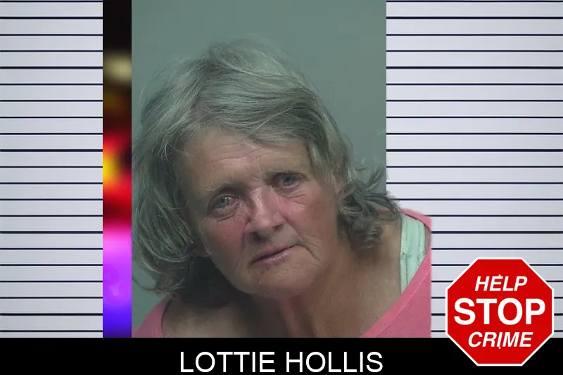 Lottie Hollis Mugshots