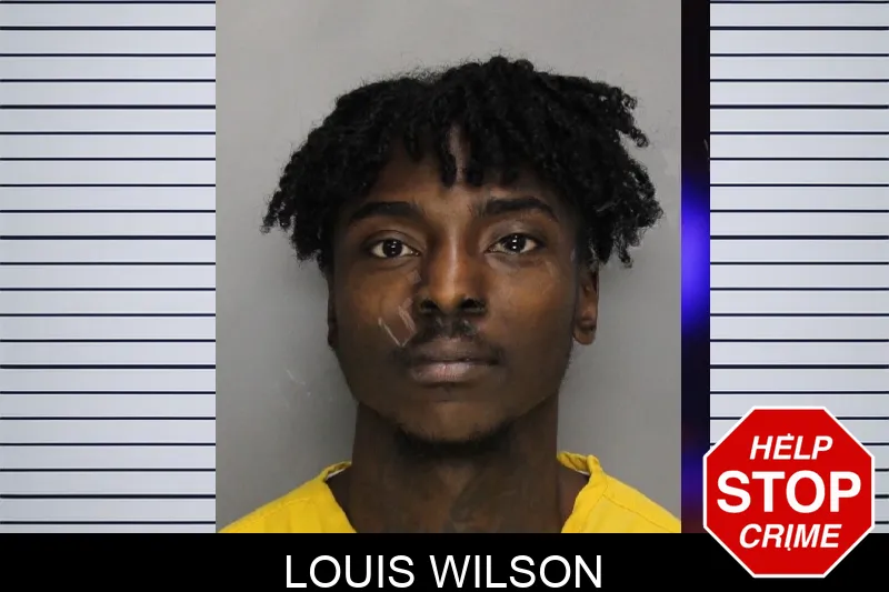 Louis Wilson mugshot