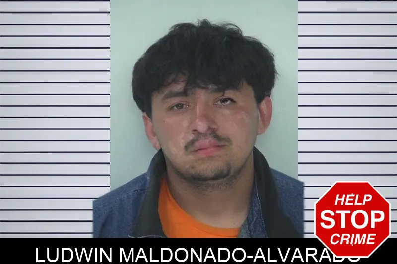 Ludwin Maldonado-Alvarado Mugshots