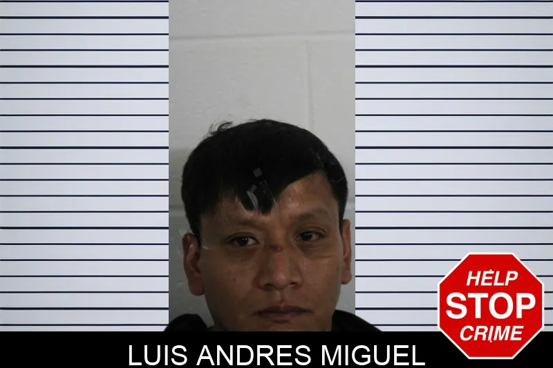 Luis Andres Miguel Mugshots