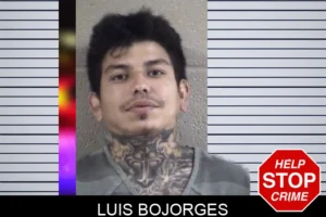 Luis Bojorges mugshot