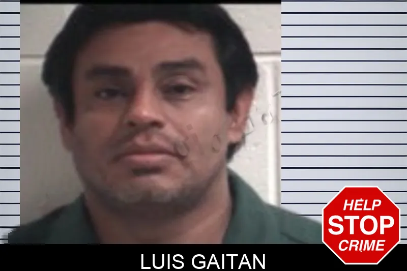 Luis Gaitan Mugshots