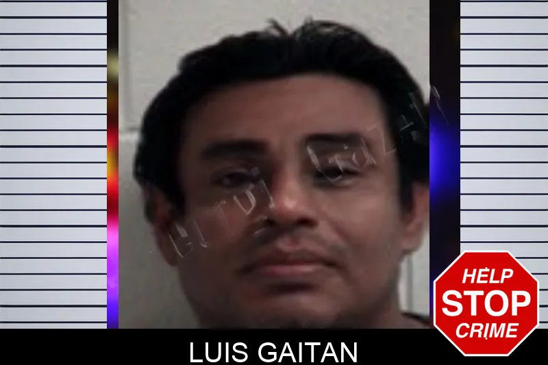 Luis Gaitan Mugshots