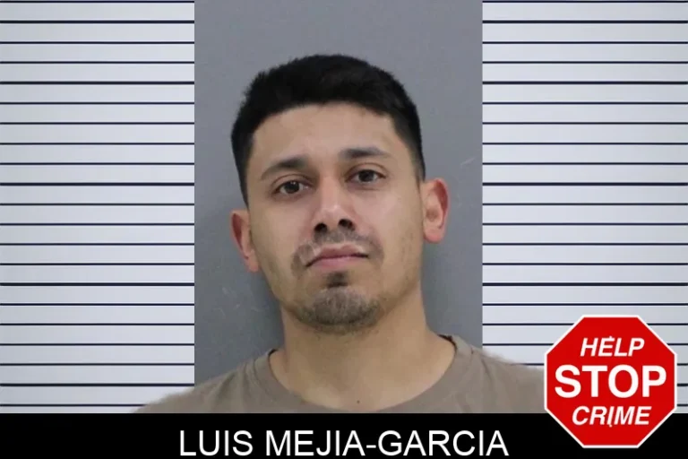 Luis Mejia-Garcia