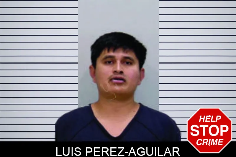 Luis Perez-Aguilar mugshot