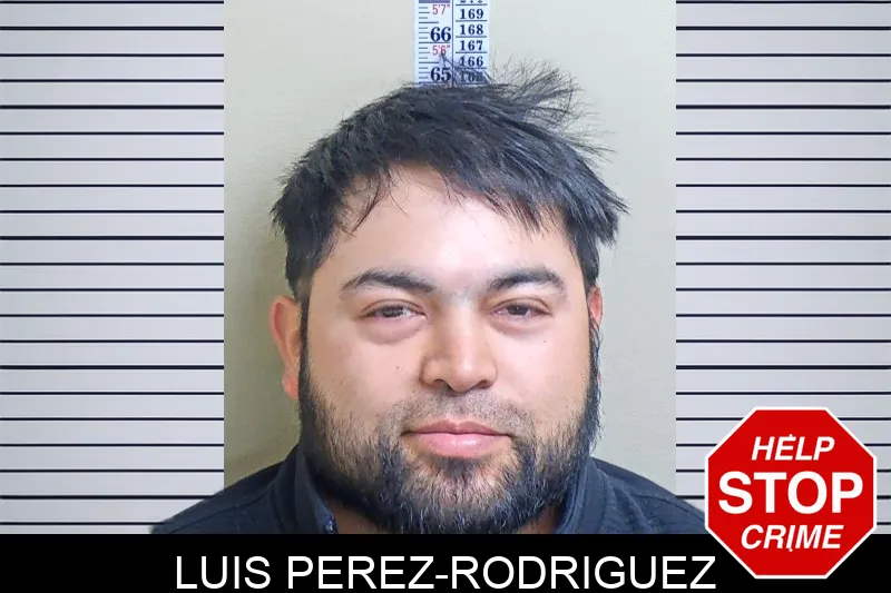 Luis Perez-Rodriguez Mugshots