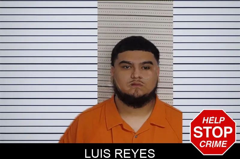 Luis Reyes mugshot
