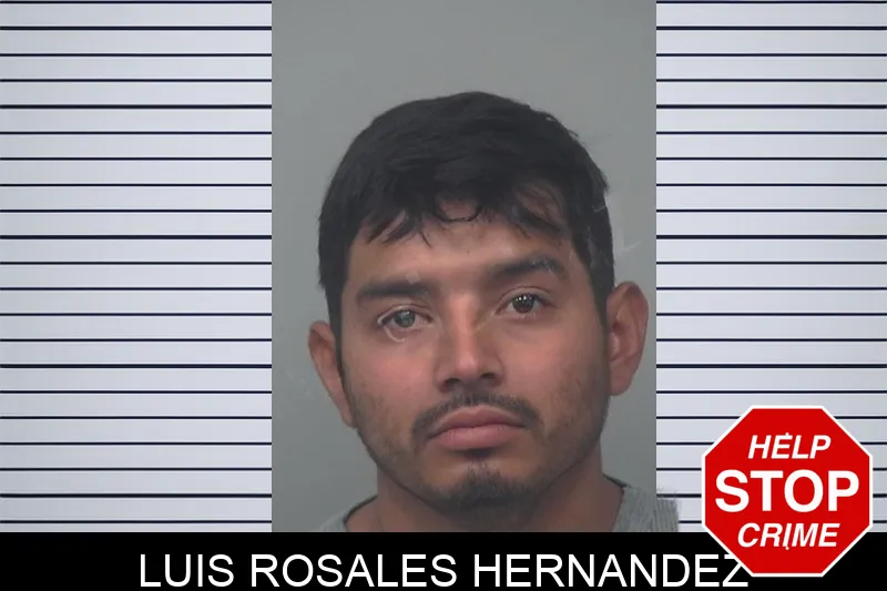 Luis Rosales Hernandez Mugshots