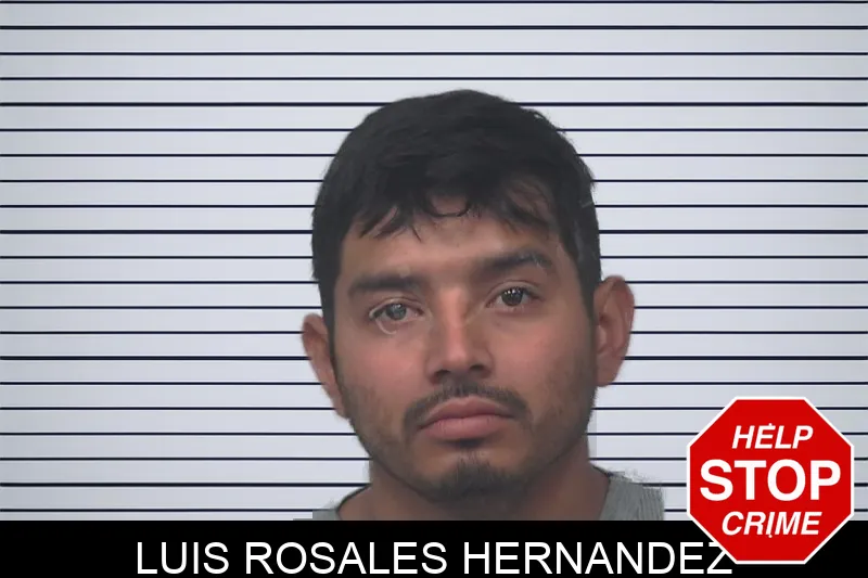 Luis Rosales Hernandez Mugshots