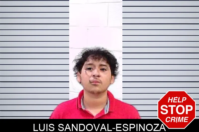 Luis Sandoval-Espinoza