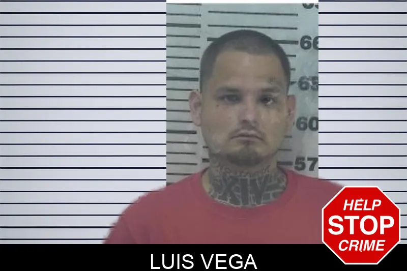 Luis Vega Mugshots