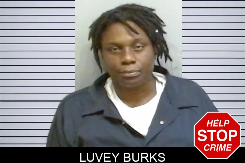 Luvey Burks mugshot