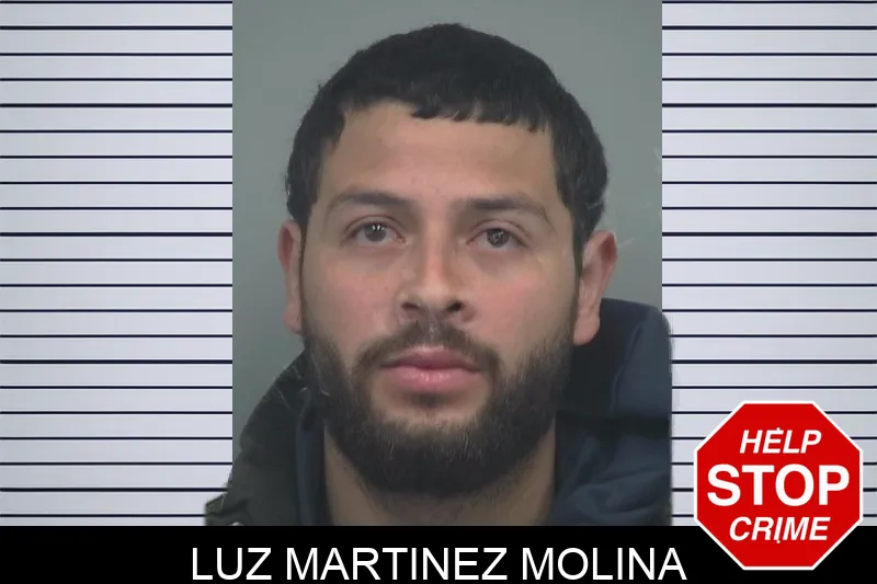 Luz Martinez Molina Mugshots