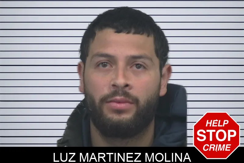 Luz Martinez Molina Mugshots