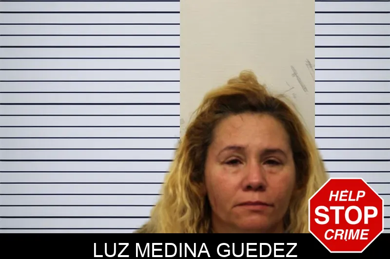 Luz Medina Guedez Mugshots
