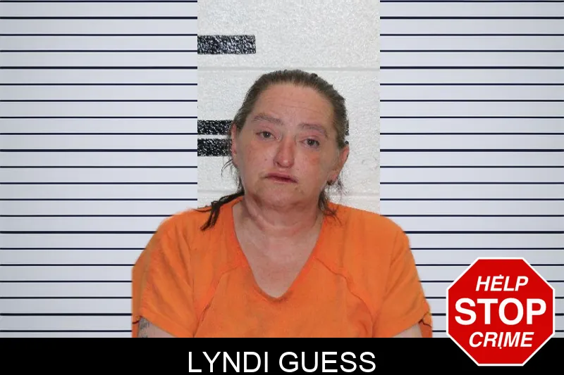 Lyndi Guess Mugshots