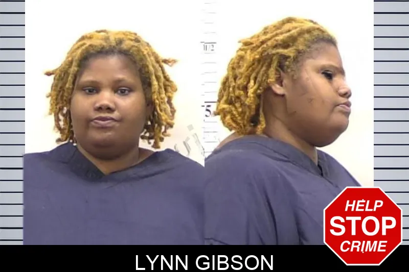 Lynn Gibson Mugshots
