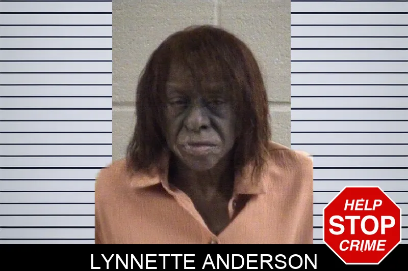 Lynnette Anderson mugshot – Whitfield County , Georgia Lynnette Anderson mugshot