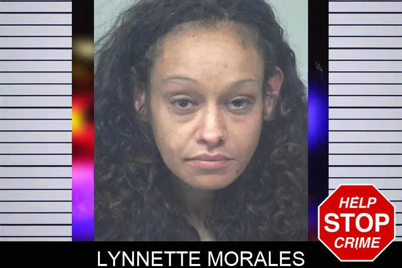 Lynnette Morales Mugshots