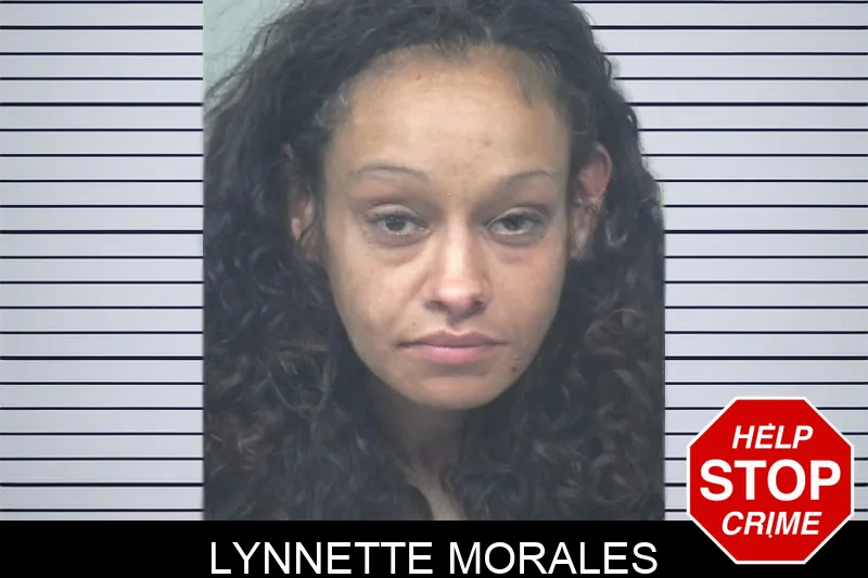 Lynnette Morales Mugshots