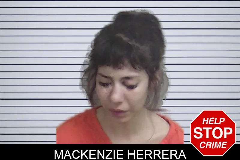 Mackenzie Herrera Mugshots