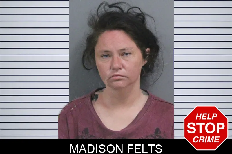 Madison Felts Mugshots