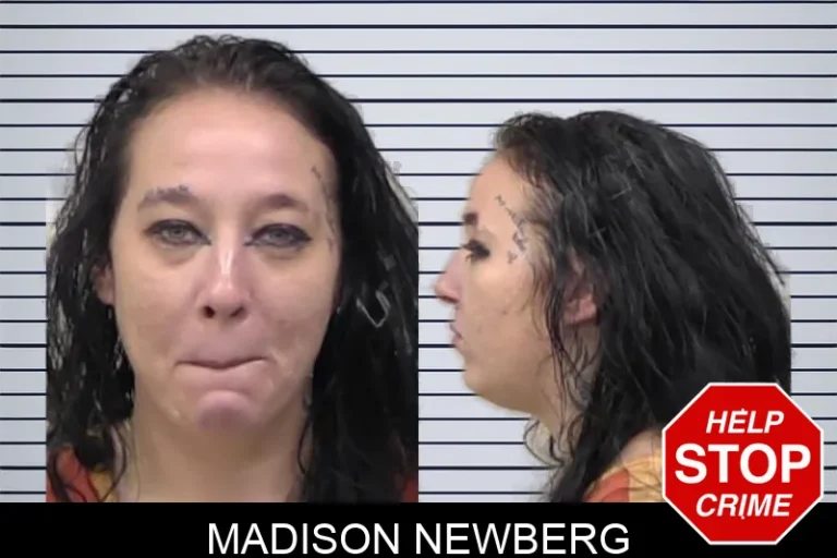 Madison Newberg mugshot – Paulding County , Georgia Madison Newberg