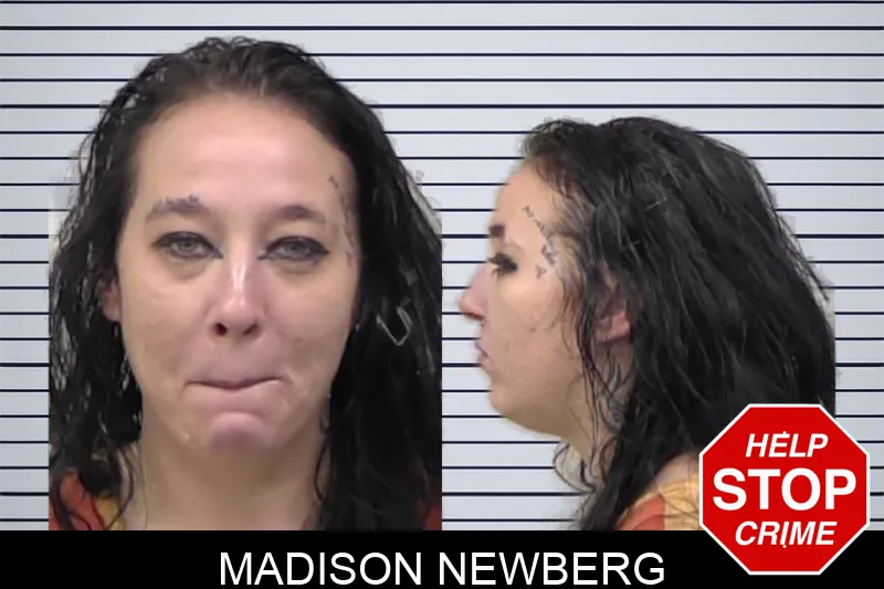Madison Newberg mugshot