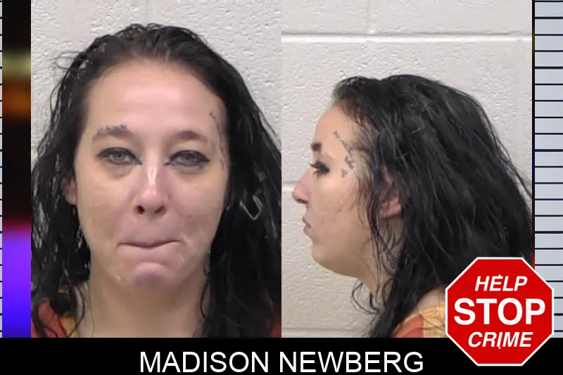 Madison Newberg Mugshots