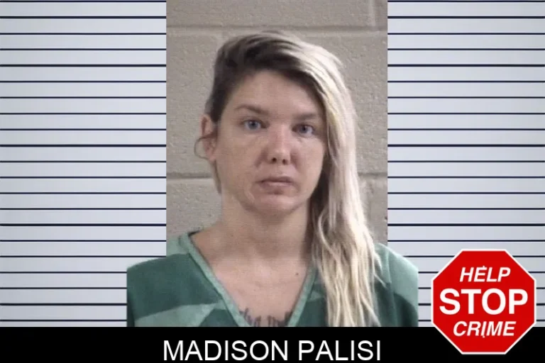 Madison Palisi