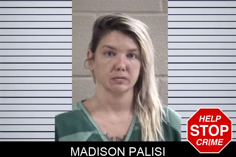 Madison Palisi mugshot