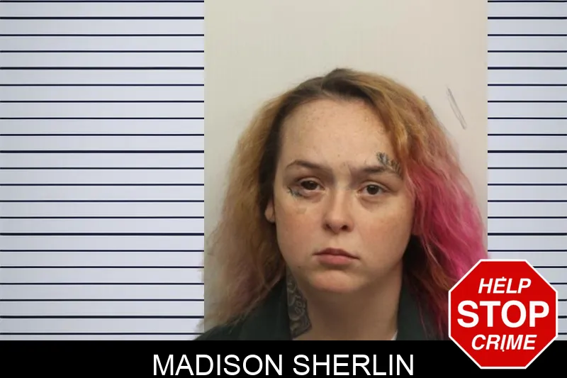 Madison Sherlin Mugshots