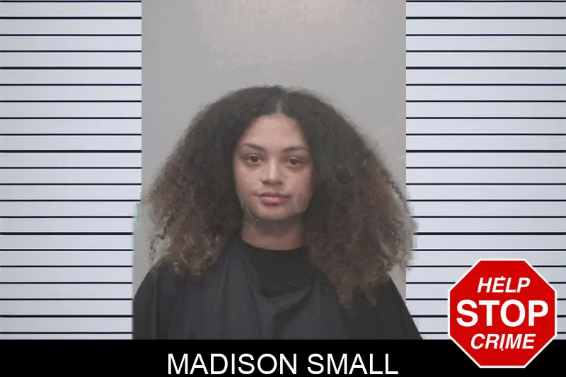 Madison Small mugshot – Coweta County , Georgia Madison Small mugshot