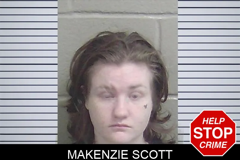 Makenzie Scott Mugshots