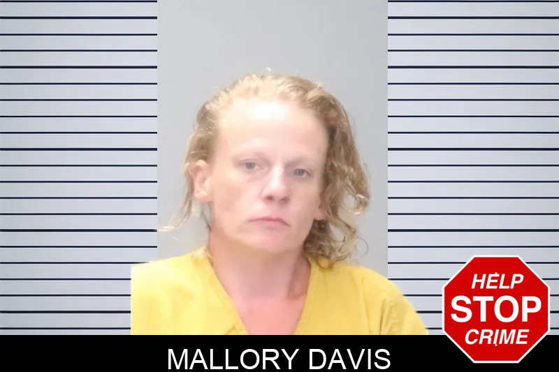 Mallory Davis Mugshots