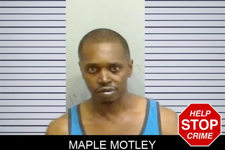 Maple Motley