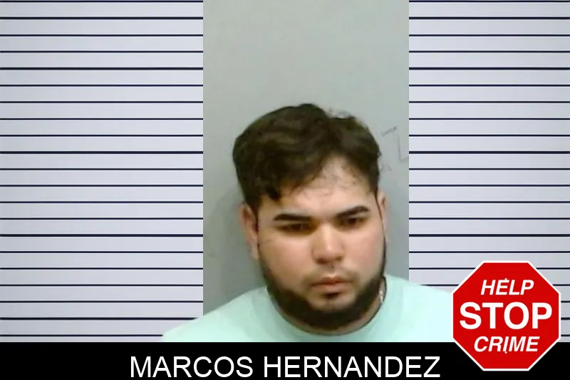 Marcos Hernandez mugshot