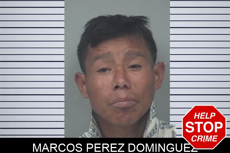 Marcos Perez Dominguez Mugshots