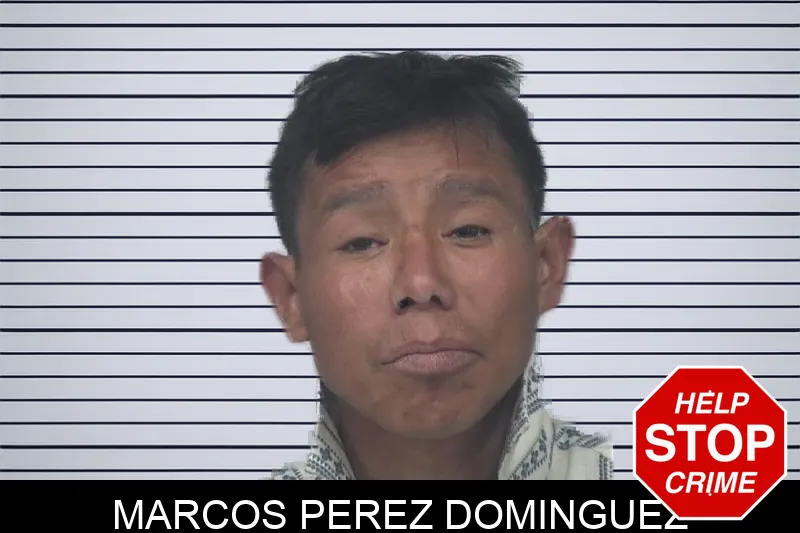 Marcos Perez Dominguez Mugshots