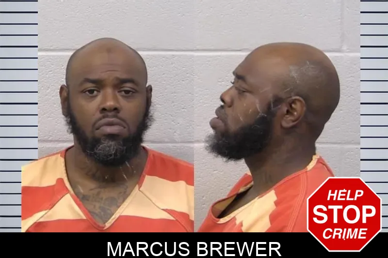 Marcus Brewer mugshot – Paulding County , Georgia Marcus Brewer mugshot
