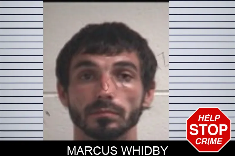 Marcus Whidby Mugshots