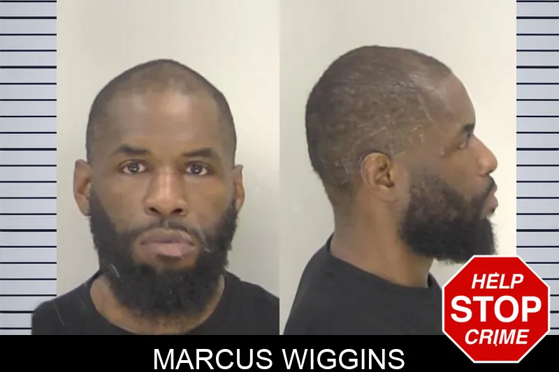 Marcus Wiggins Mugshots